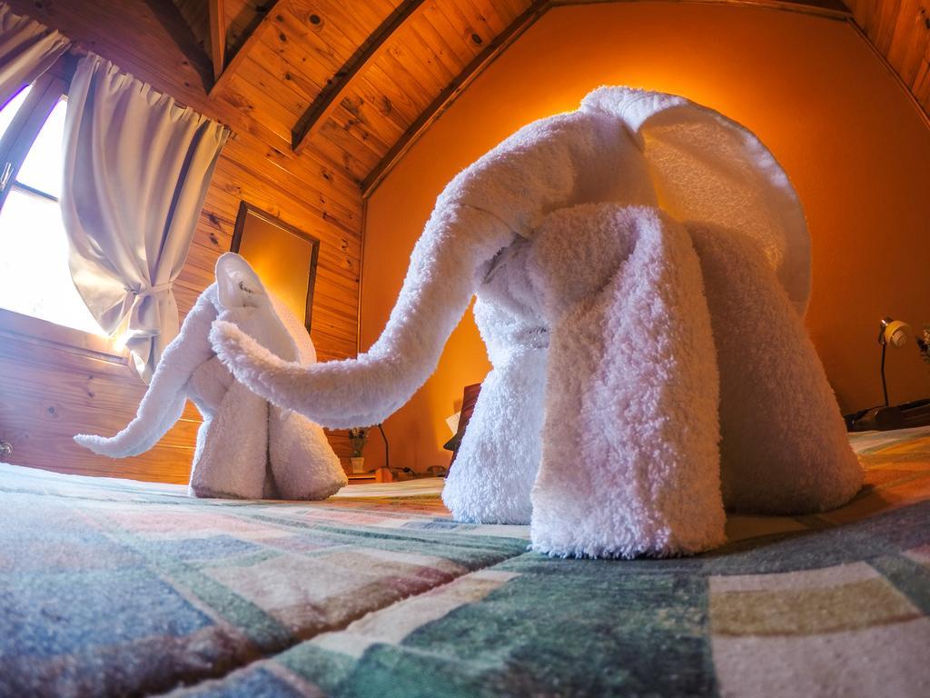 Cabanas De La Patagonia San Martín de los Andes 외부 사진